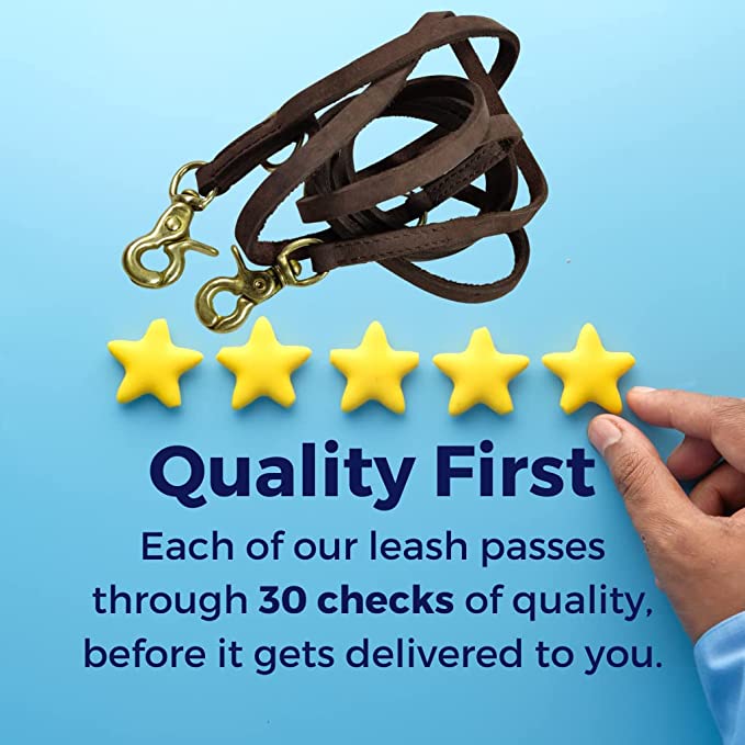 New Launch Leatherow Hands Free Dog Leash, Multifunctional Dog Training Leads, 8ft Leather Double Leash for Puppy, Small & Medium Dogs - Image 3