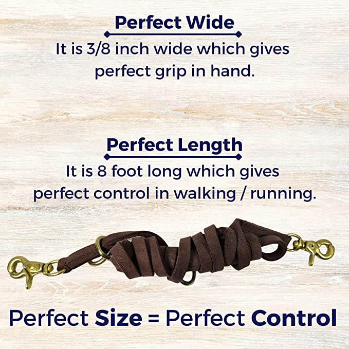 New Launch Leatherow Hands Free Dog Leash, Multifunctional Dog Training Leads, 8ft Leather Double Leash for Puppy, Small & Medium Dogs - Image 2